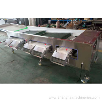 Blueberry Sorting Machine Grading Machine